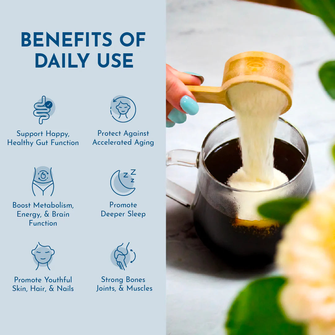 Collagen Protein Powder