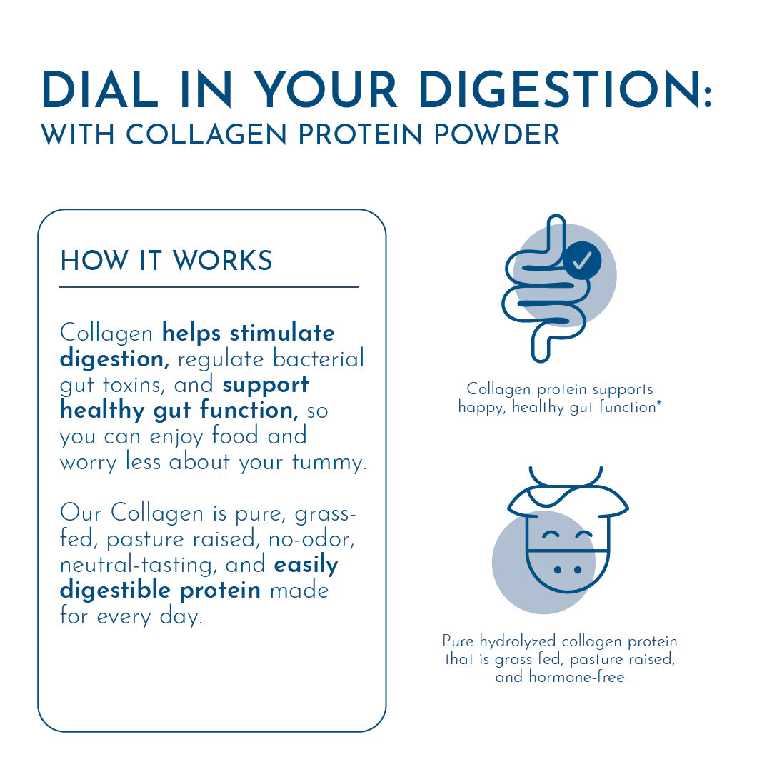 Collagen Protein Powder