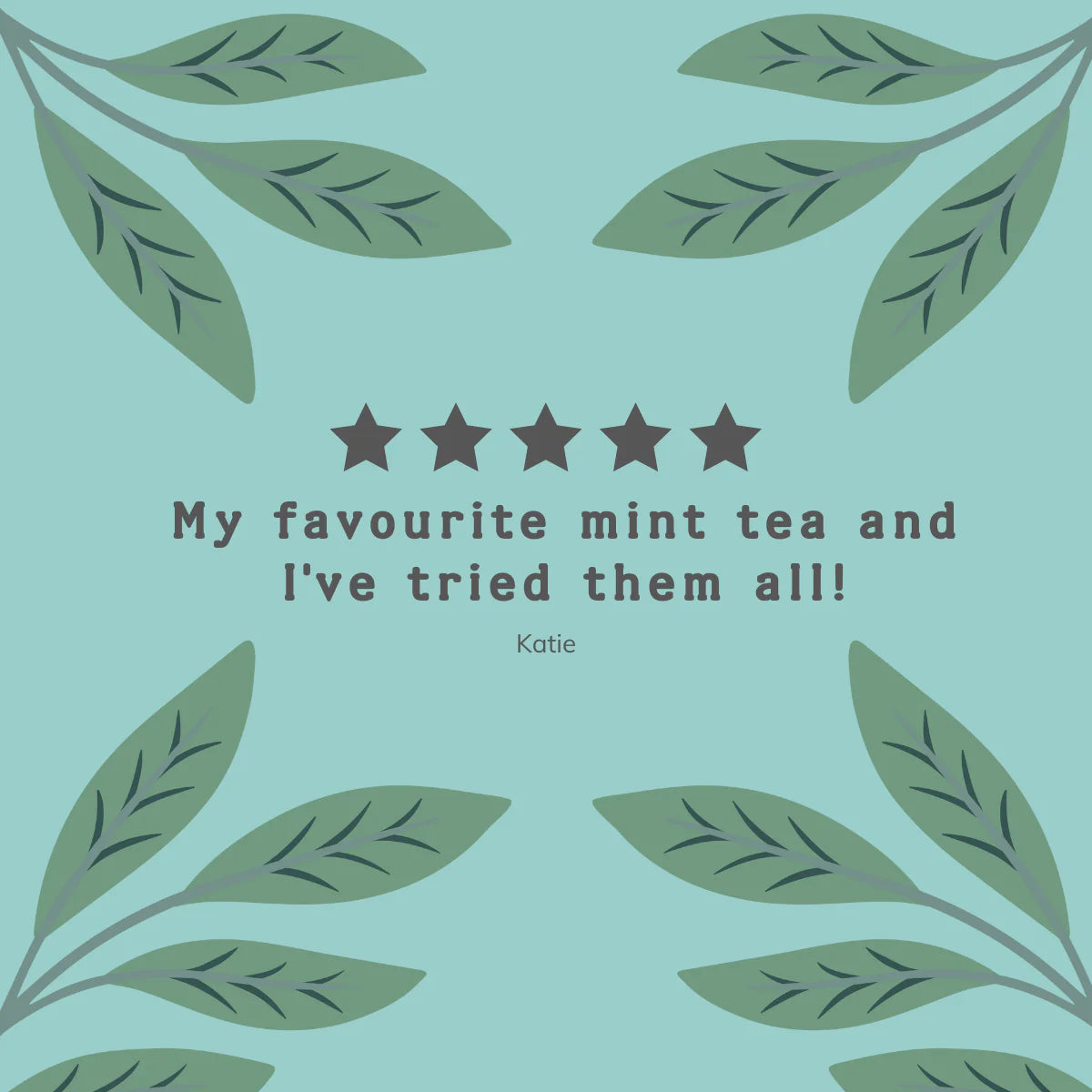 Organic Peppermint & Spearmint Tea Bags