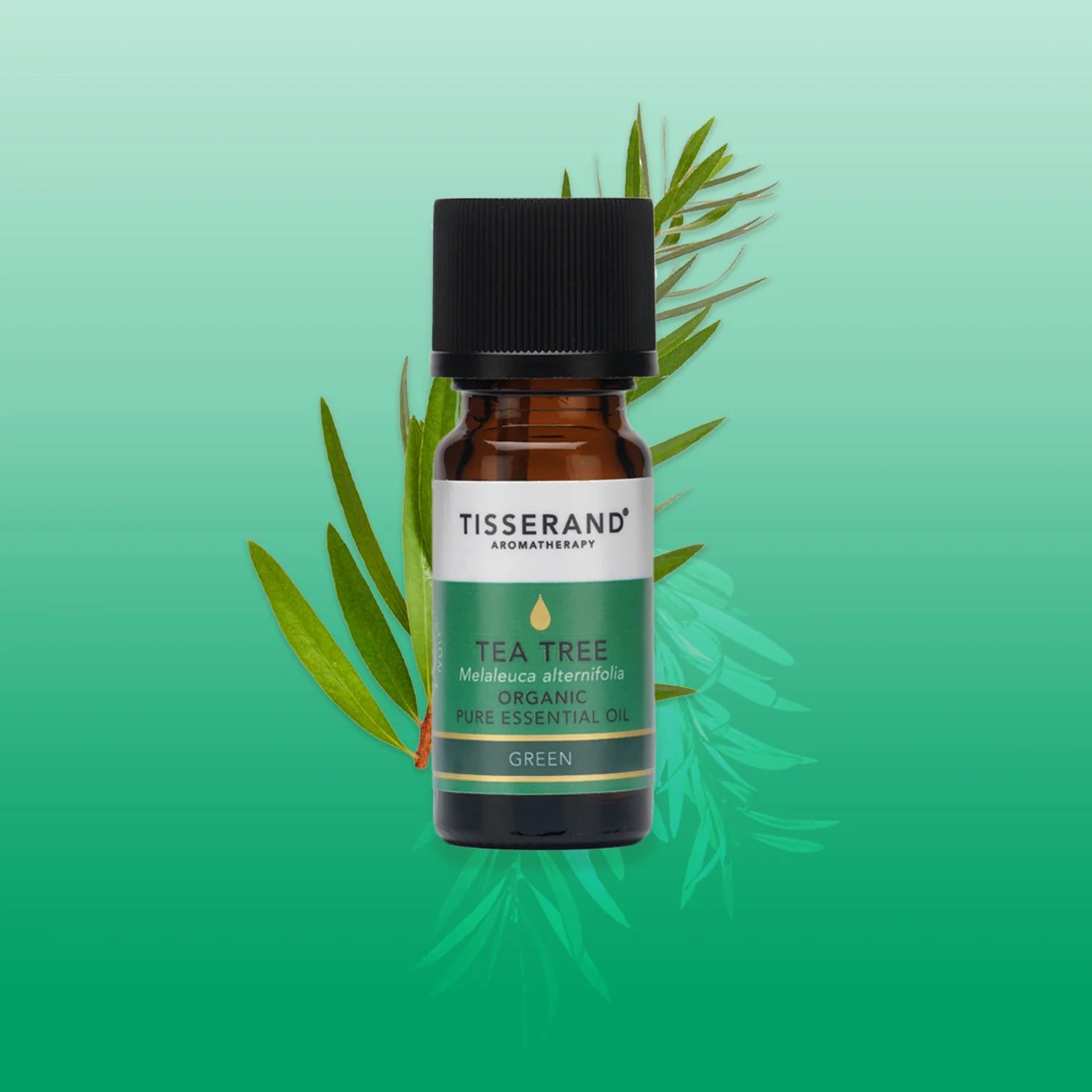 Organic Tea Tree Essential Oil