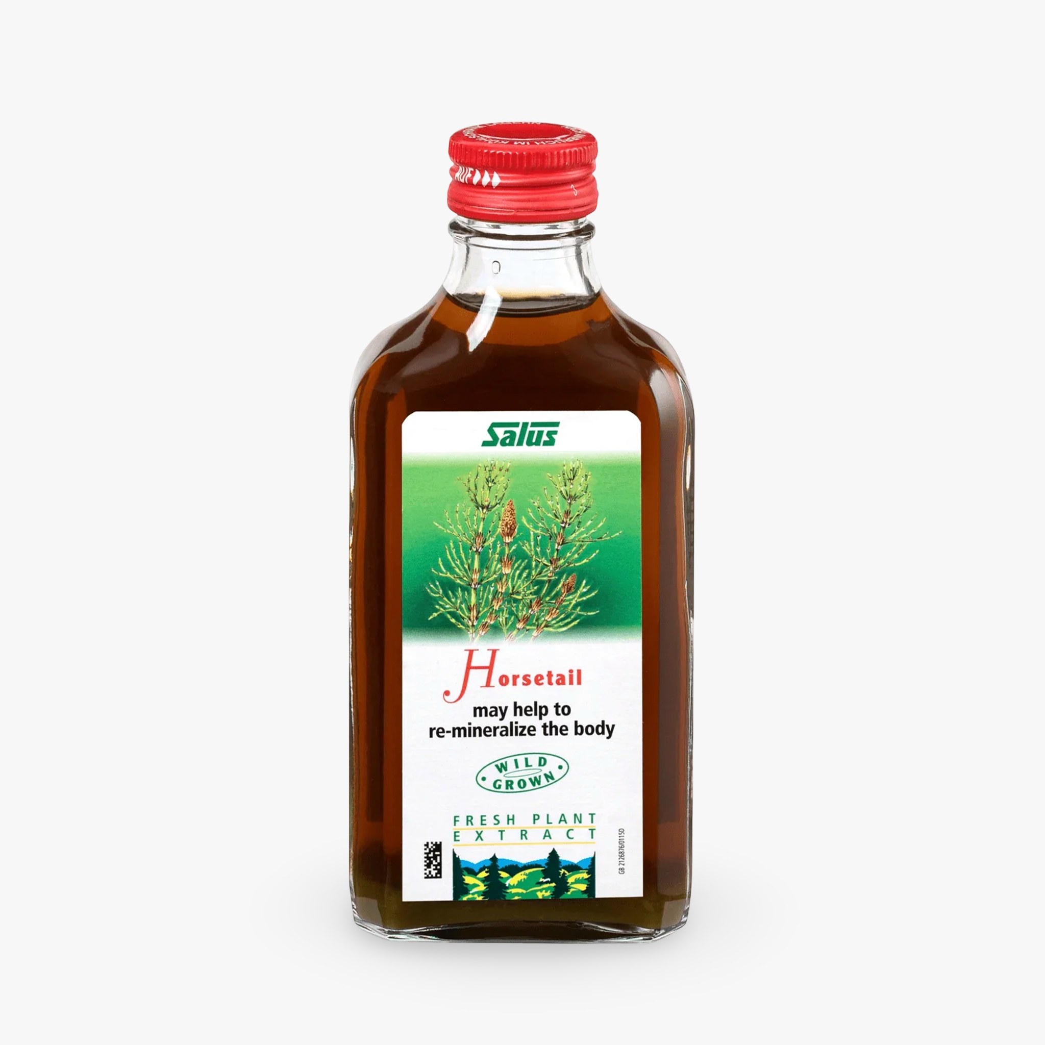 Horsetail Plant Juice