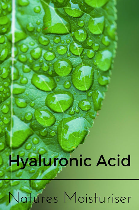 The Anti-Ageing Nutrient – Hyaluronic Acid