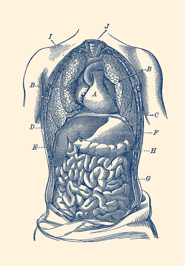 The Great Mimicker – Ileocecal Valve Syndrome