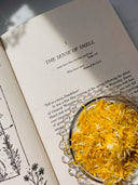 Dandelion Shortbread