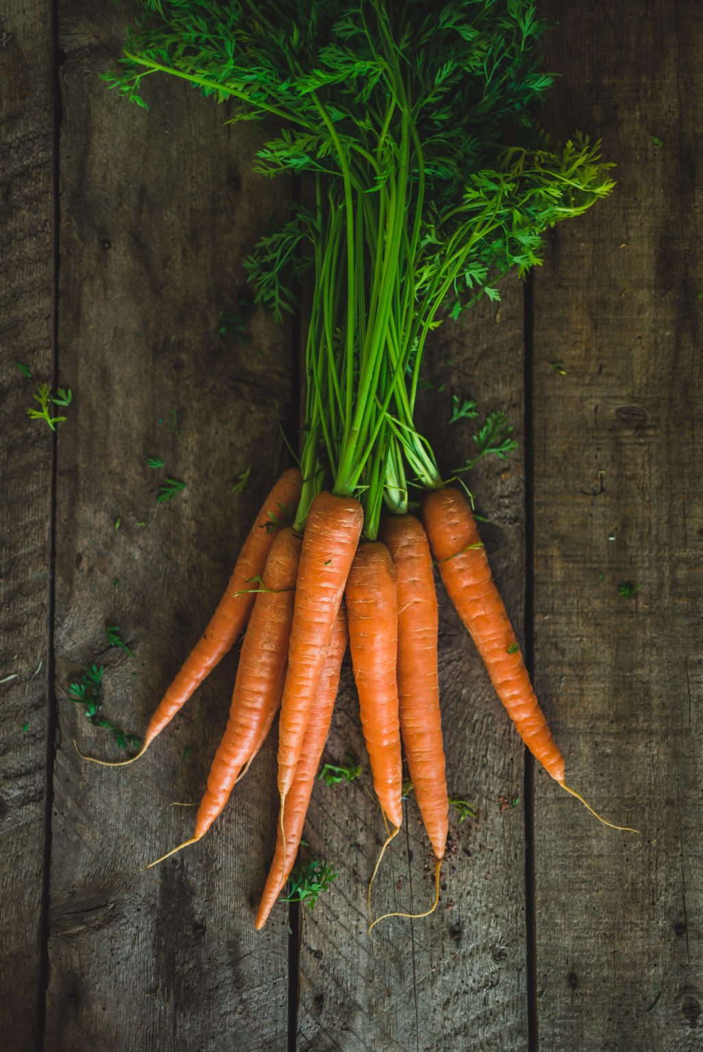 Ray Peat’s Thyroid Boosting Carrot Salad