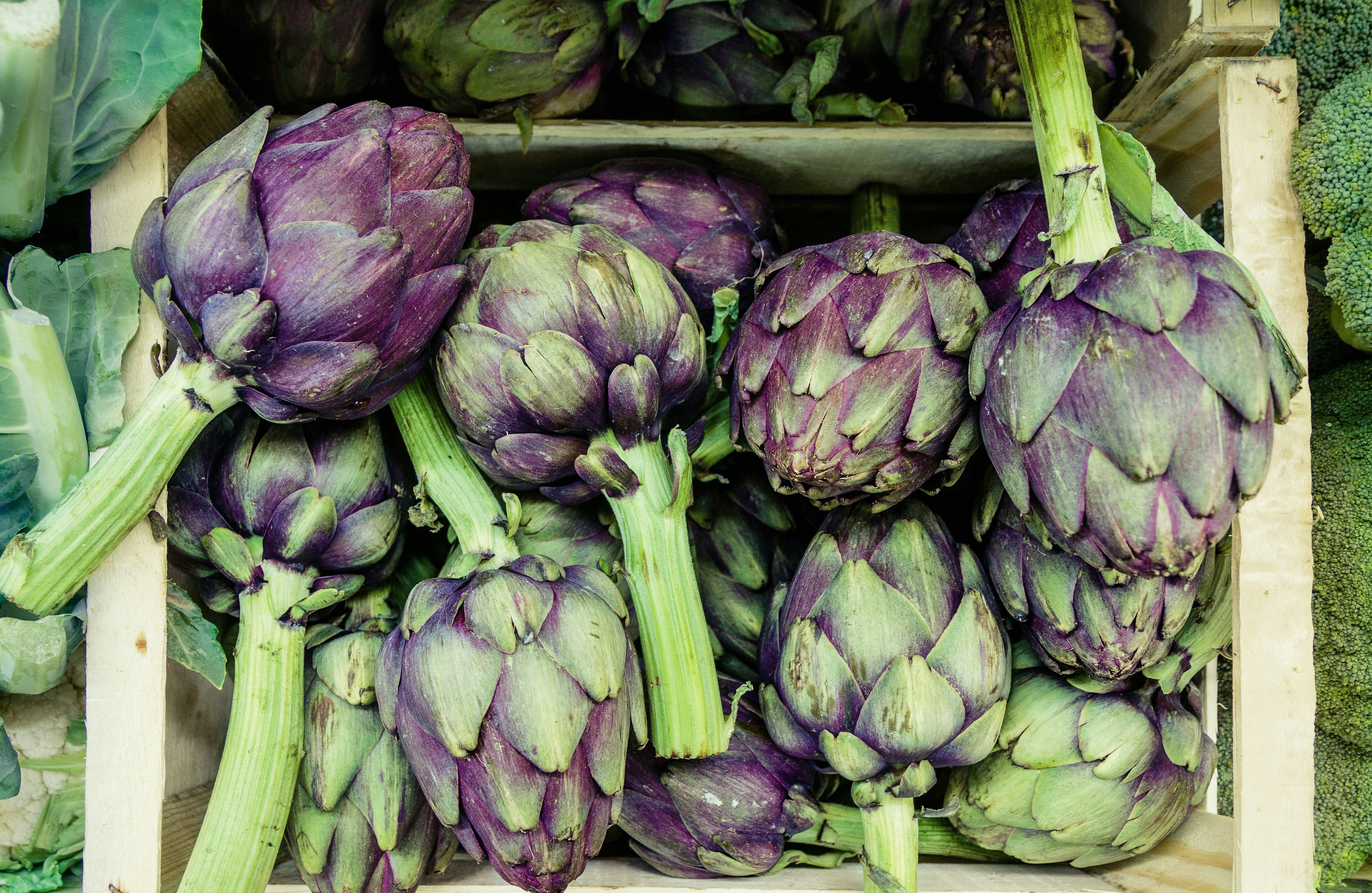 Artichoke supports liver health