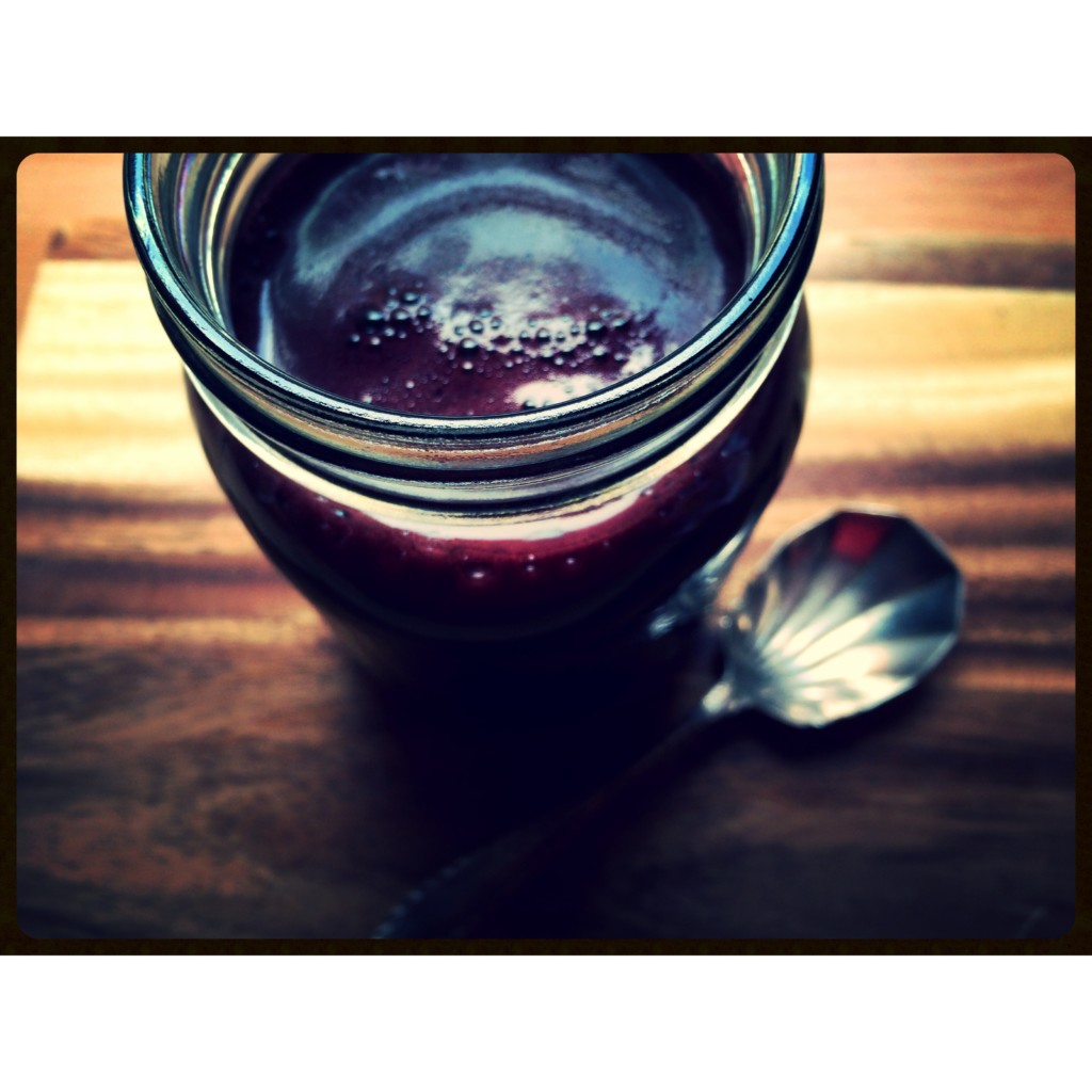 Homemade Elderberry Syrup Recipe