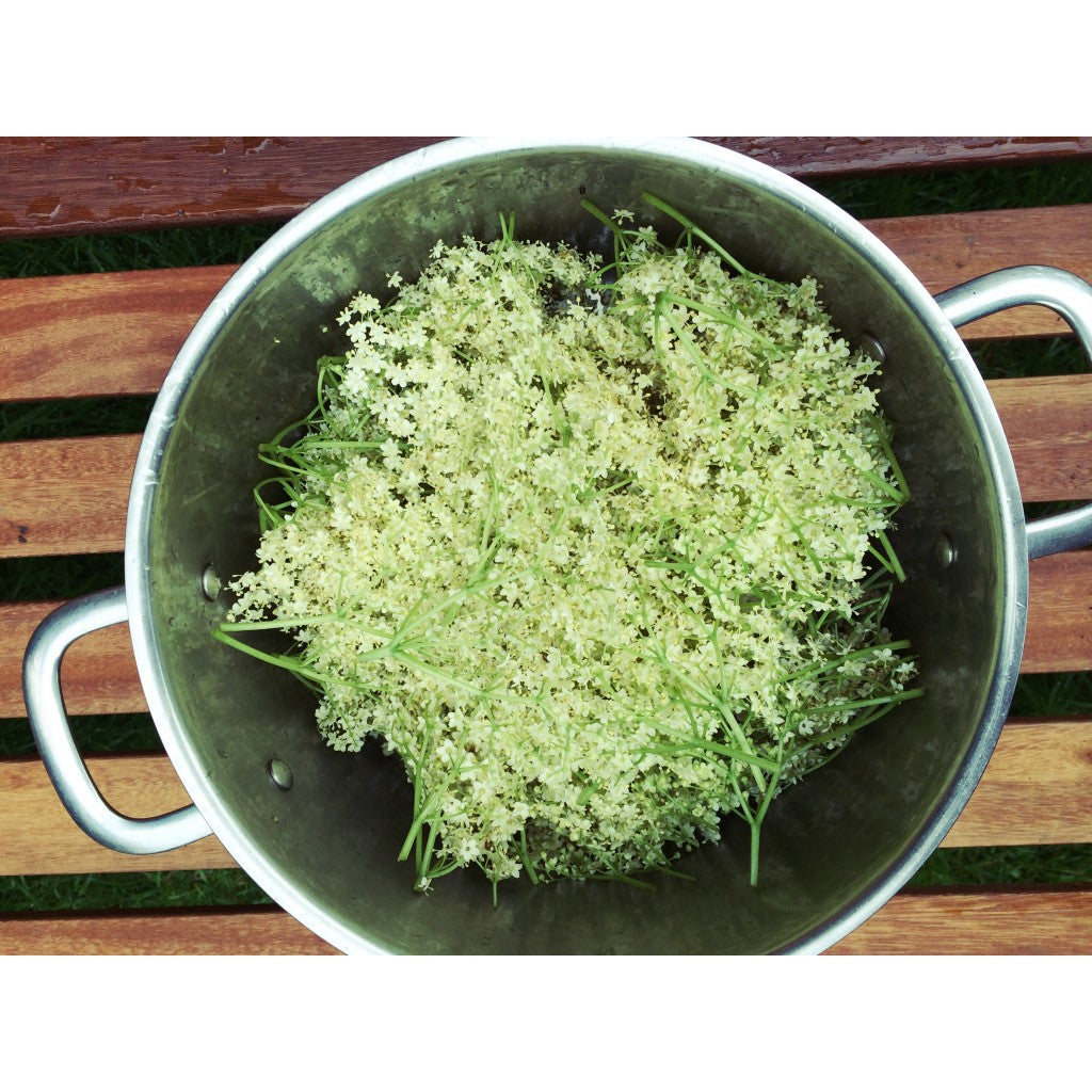 Elderflower Cordial