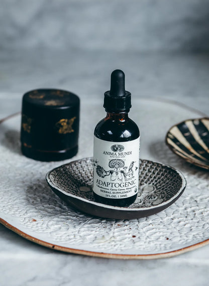 ADAPTOGENIC Tonic | Double Extracted Mushrooms