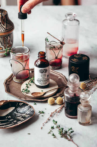 ADAPTOGENIC Tonic | Double Extracted Mushrooms