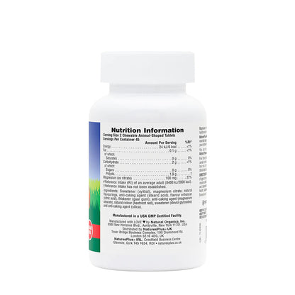 Animal Parade Mag Kidz