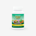 Animal Parade Tummy Zyme Children's Chewables