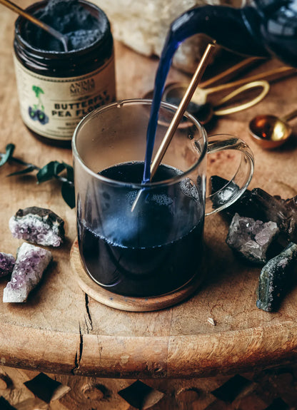 BUTTERFLY PEA FLOWER | Blue Healer