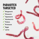 Children's Parasite Formula