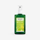 Citrus Fresh Deo Spray
