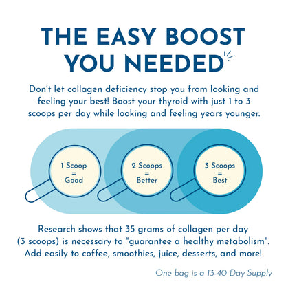 Collagen Protein Powder