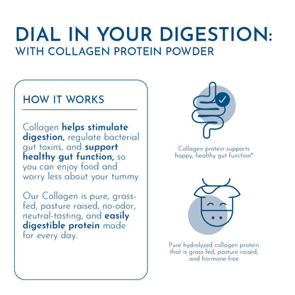 Collagen Protein Powder