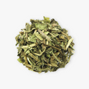 Dandelion Tea
