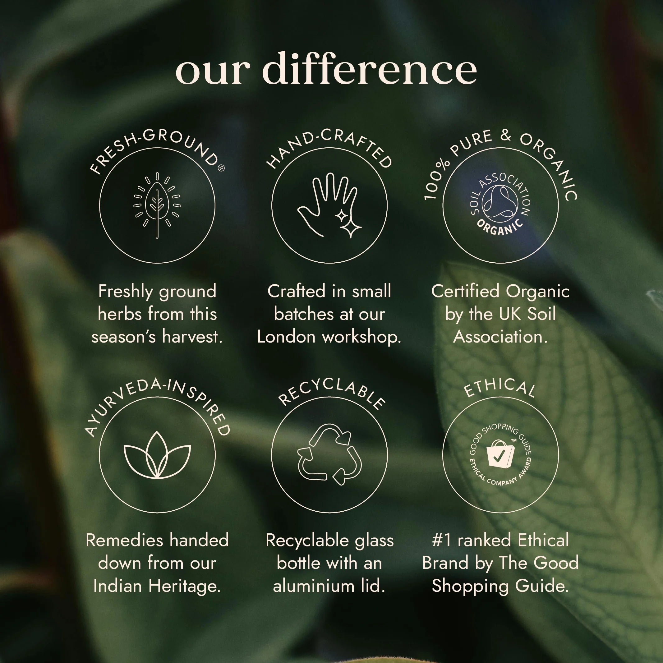 Organic Tulsi (Holy Basil)