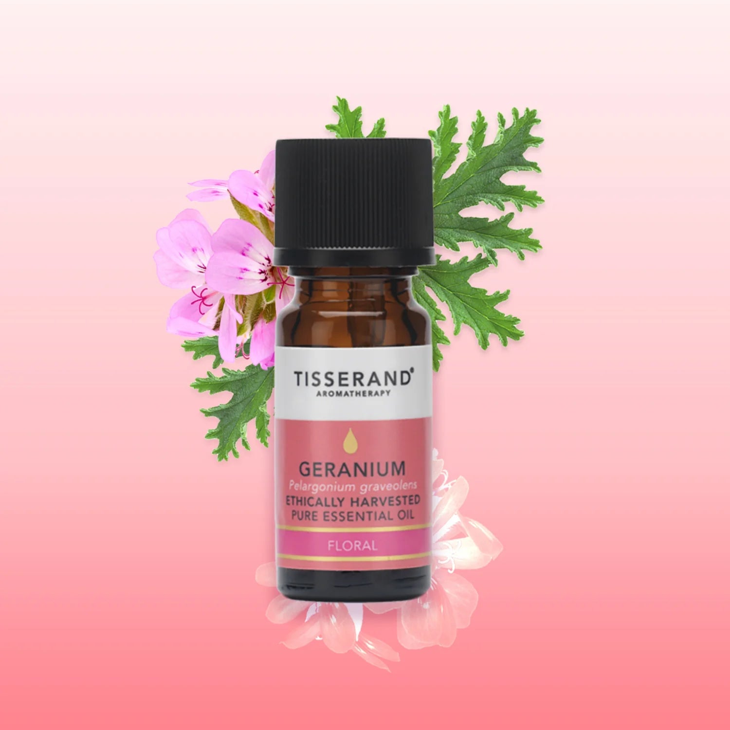 Geranium Essential Oil