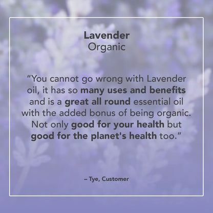 Organic Lavender Essential Oil
