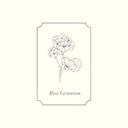 Rose Geranium Essential Oil
