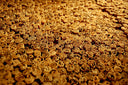 Steenbergs Organic Cinnamon Sticks 52g