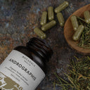 Organic Andrographis Capsules