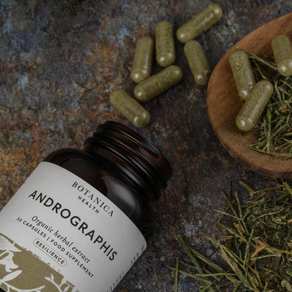 Organic Andrographis Capsules