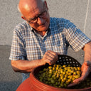 Organic Bella Di Cerignola Olives