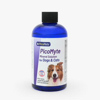 PicoMyte by PicoPets