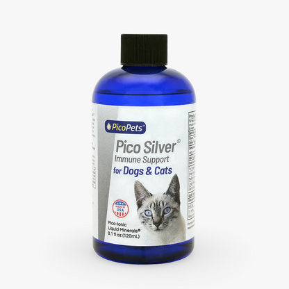 Pico Silver by PicoPets