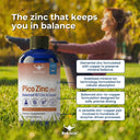 Pico Zinc Plus