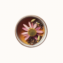 Echinacea Immune