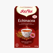 Echinacea