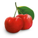 Immune Support