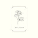 Napiers Rose Geranium Essential Oil